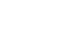 windows 11